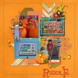 Hydro Harvest Farms_1