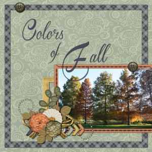 Colors of Fall