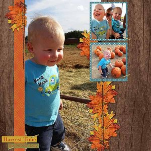 Harvest Time