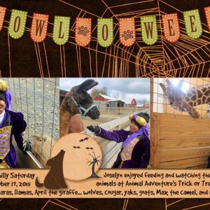 Animal Adventure Howl o Ween