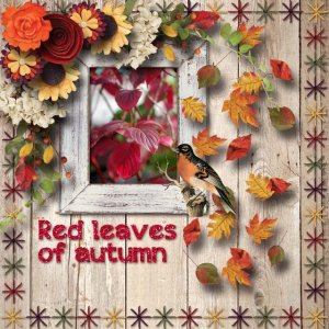 Red_leaves_of_autumn