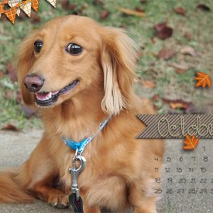 Oct. Desktop Challenge 2015