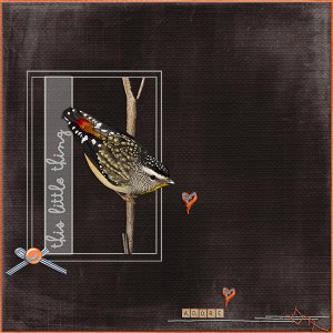 This little Bird