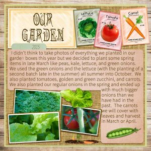 Our Garden