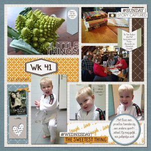 Wk 41A