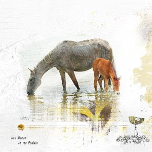 Horses
