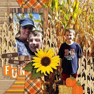 Corn Maze