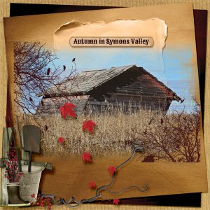 Autumn in Symons Valley