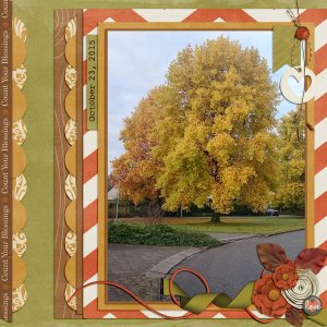 Beautiful tree