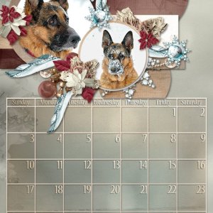 Dogs January 2016