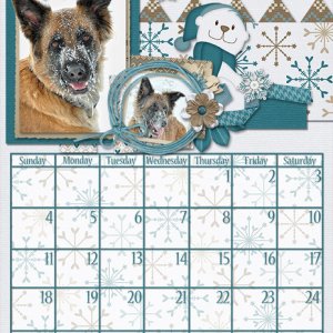 Dogs December 2016