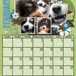 Dogs February 2016