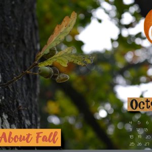 Oct 2015 Desktop