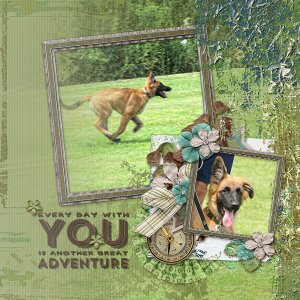 Another adventure