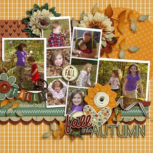 Fall into Autumn