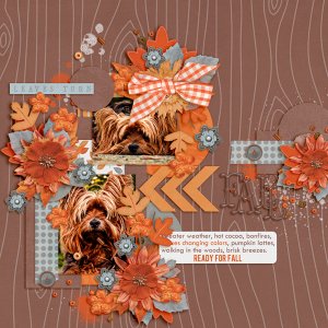 Ready for Fall