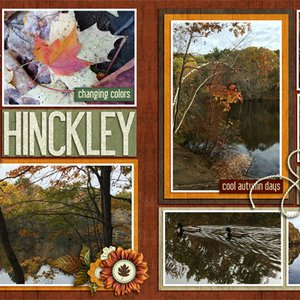 Hinckley Park