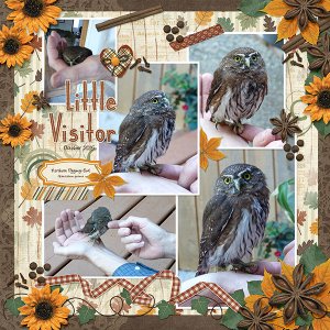 Little Visitor