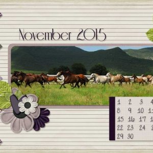 Nov Desktop