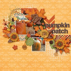 Pumpkin Patch