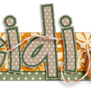 Nov siggy