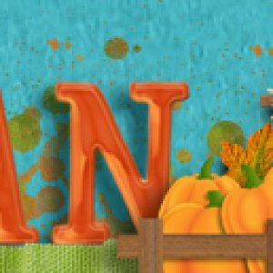 Nov Siggy