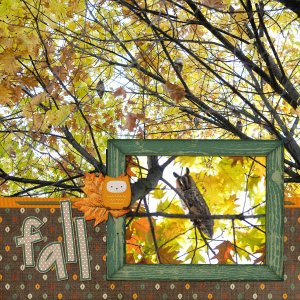 Fall in Love