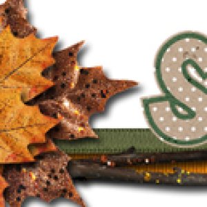 201511 Siggy