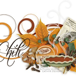 November Siggie 2015