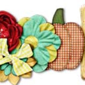 November Siggy
