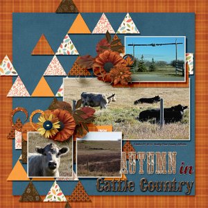 Autumn_in_Cattle_Country_GS