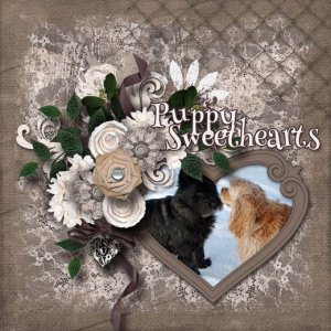 Puppy_sweethearts