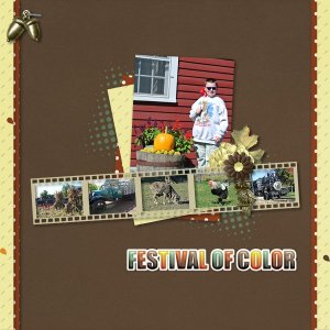 Festival of Color