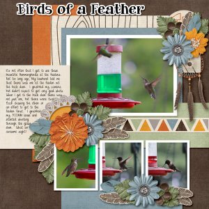 Birds of a Feather