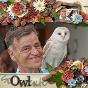 So owl cute