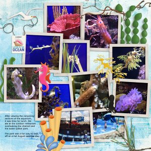 coral, sea hose-aquarium