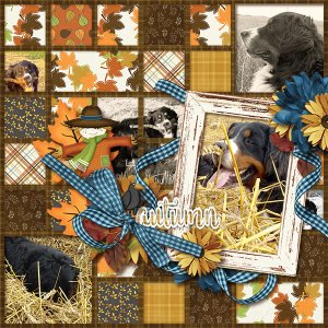 Cliv S AutumnFun