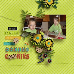 Baking Cookies