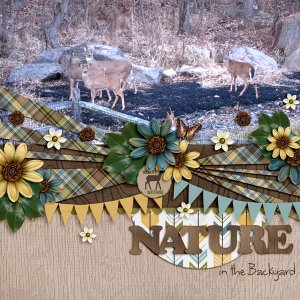 Nature in the Backyard
