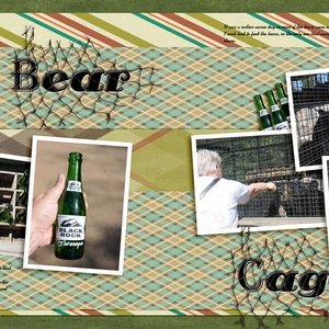 Bear_Cage