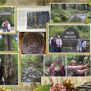 Around Muir Woods