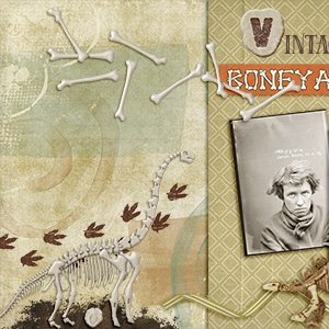 Vintage Boneyard