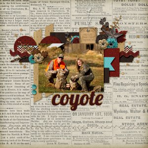 Coyote