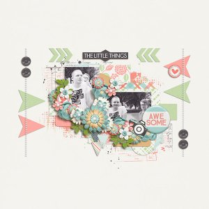 thelittlethings-small