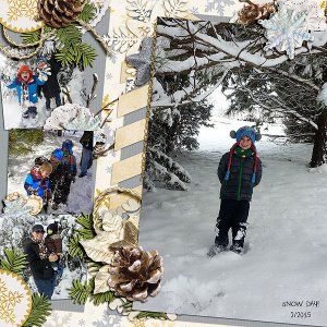 Snow Day