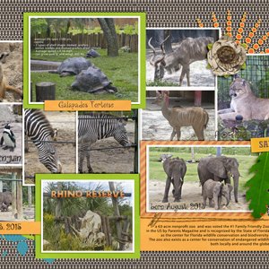 What a Zoo!