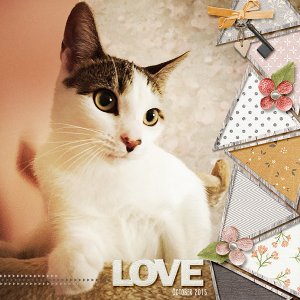 love