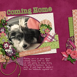 Coming Home