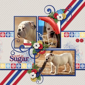 Sweet as Sugar
