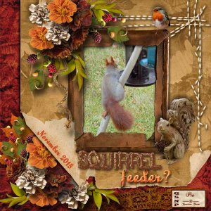 Squirrel-feeder